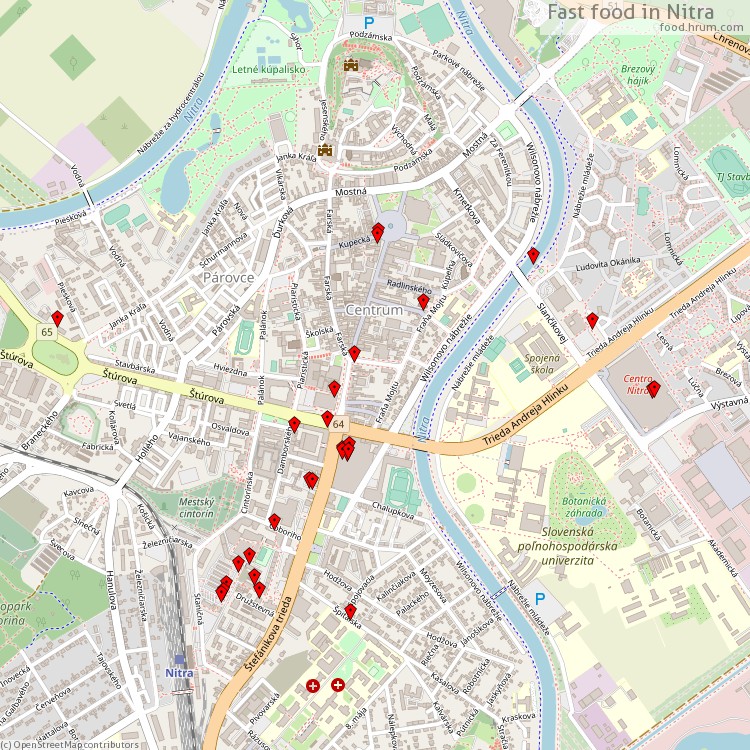 Fast food Nitra - map of restaurants